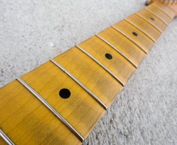 Fretboard_light